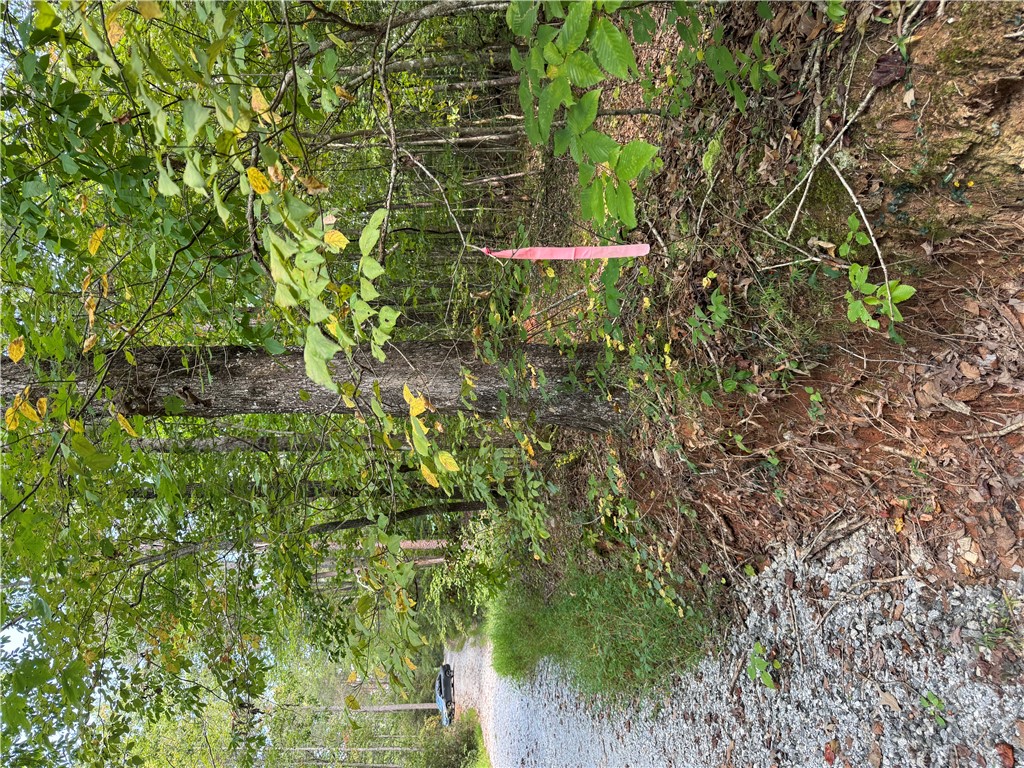 191 Duncan Mountain Trail Sunset, SC 29685 - Photo 18 of 26