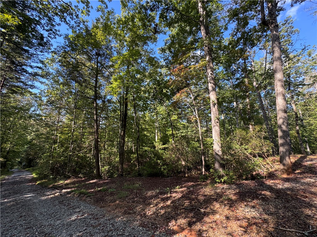191 Duncan Mountain Trail Sunset, SC 29685 - Photo 22 of 26