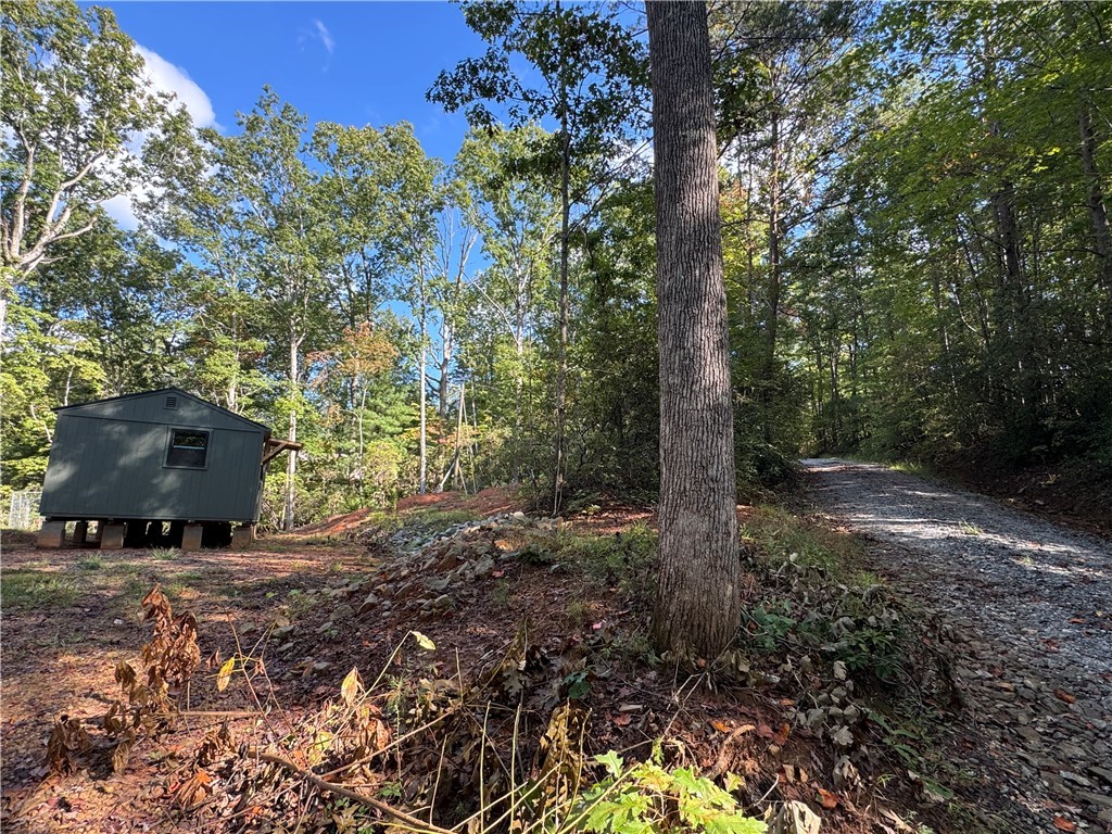 191 Duncan Mountain Trail Sunset, SC 29685 - Photo 23 of 26