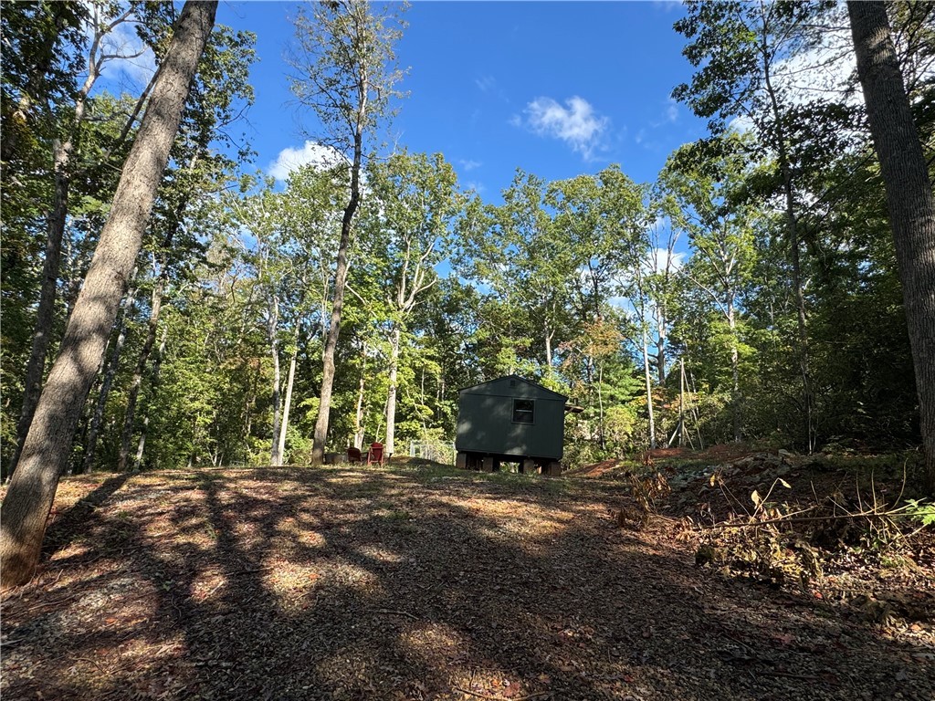191 Duncan Mountain Trail Sunset, SC 29685 - Photo 24 of 26