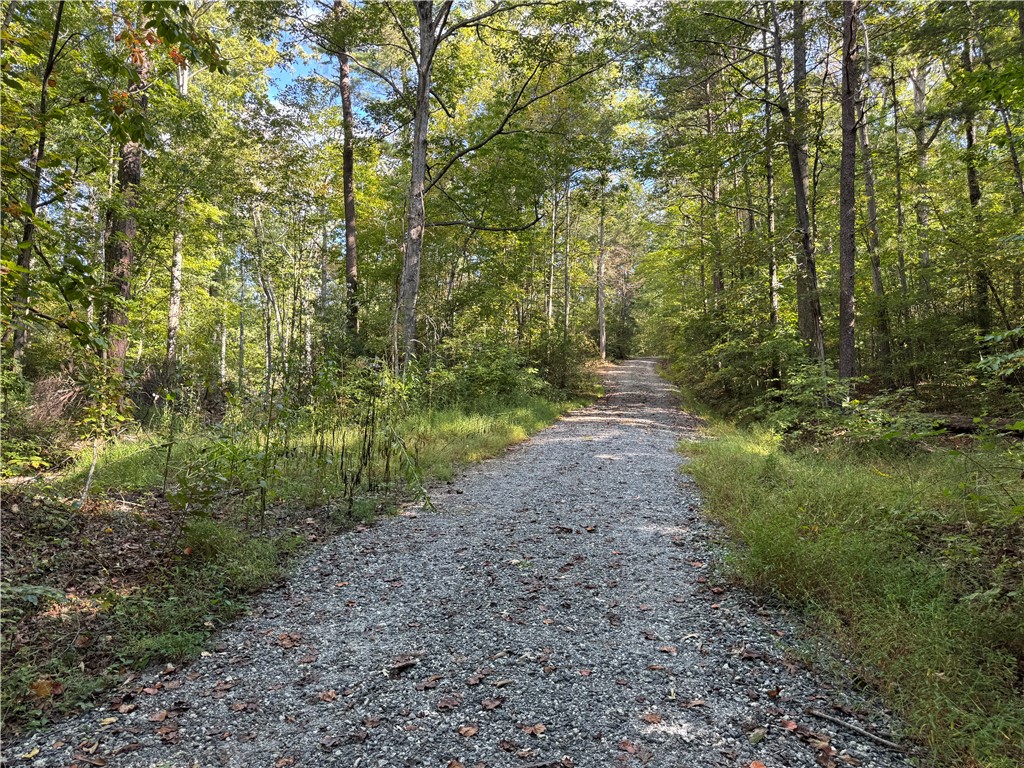 191 Duncan Mountain Trail Sunset, SC 29685 - Photo 25 of 26