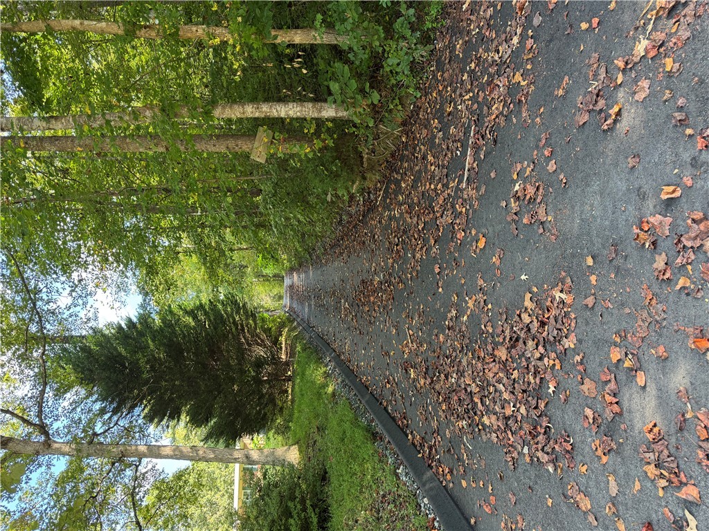 191 Duncan Mountain Trail Sunset, SC 29685 - Photo 26 of 26