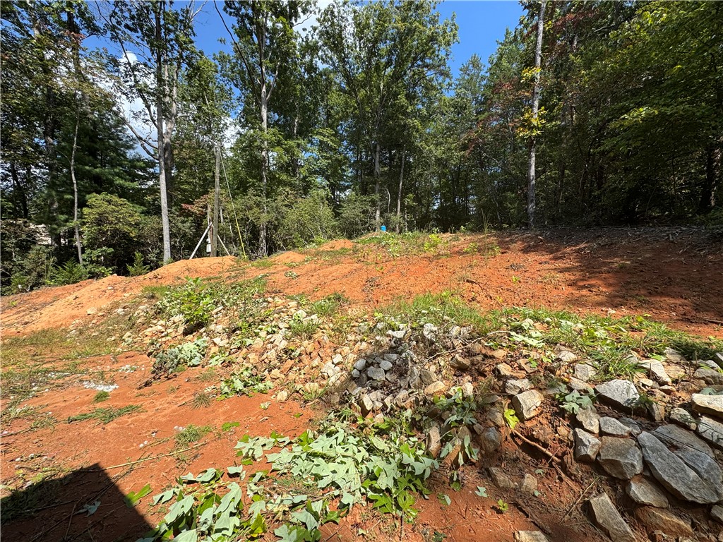 191 Duncan Mountain Trail Sunset, SC 29685 - Photo 5 of 26