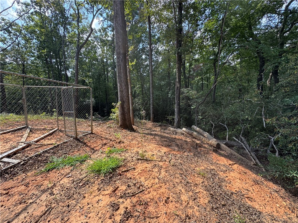 191 Duncan Mountain Trail Sunset, SC 29685 - Photo 7 of 26