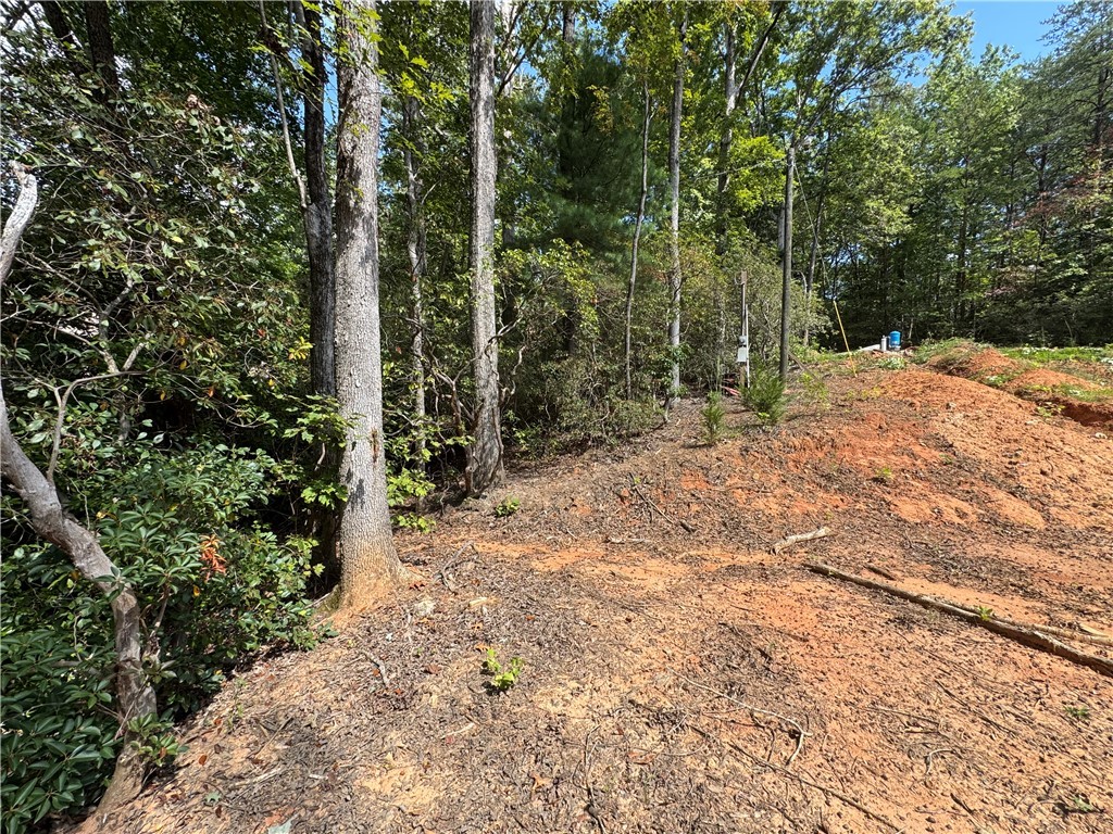 191 Duncan Mountain Trail Sunset, SC 29685 - Photo 8 of 26