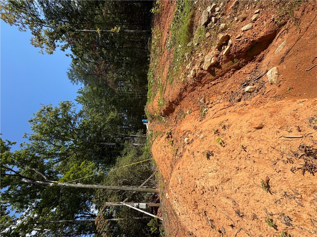 191 Duncan Mountain Trail Sunset, SC 29685 - Photo 9 of 26