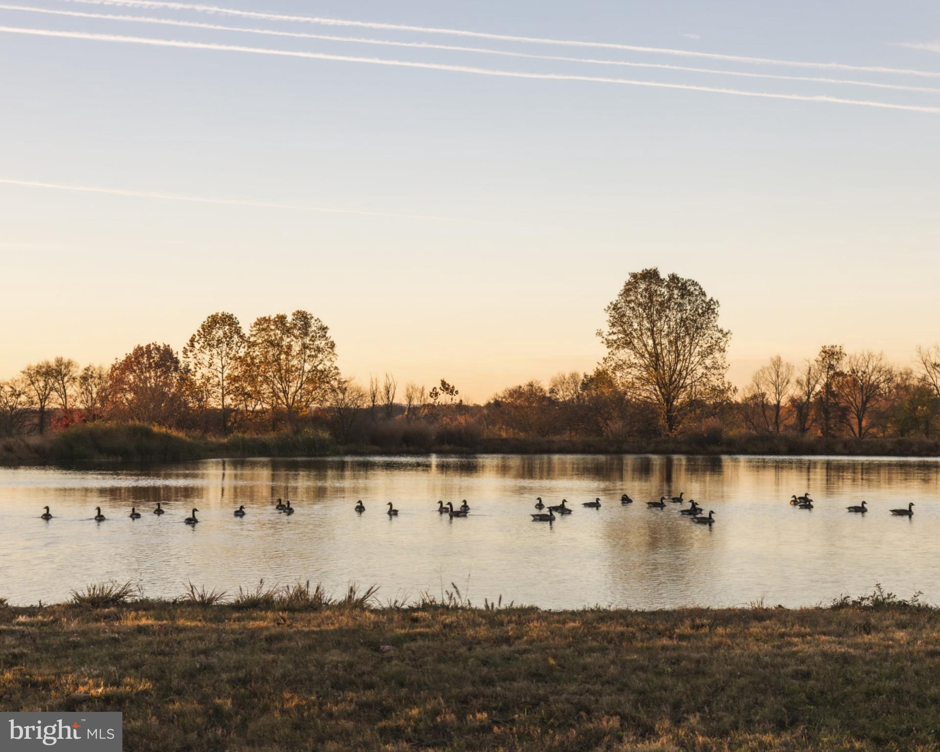 21846 Trappe Road Upperville, VA 20184 - Photo 17 of 50 a view of a lake with houses in the background