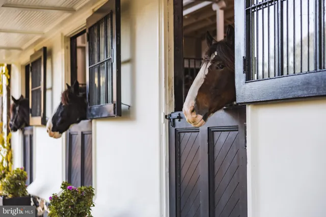 a house view with a backyard space