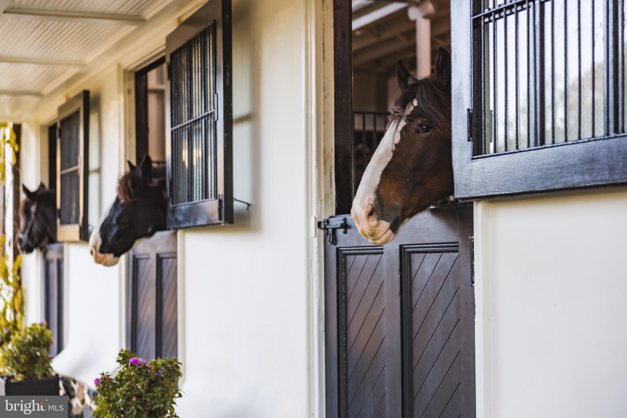 21846 Trappe Road Upperville, VA 20184 - Photo 40 of 50 a view of entryway and hall