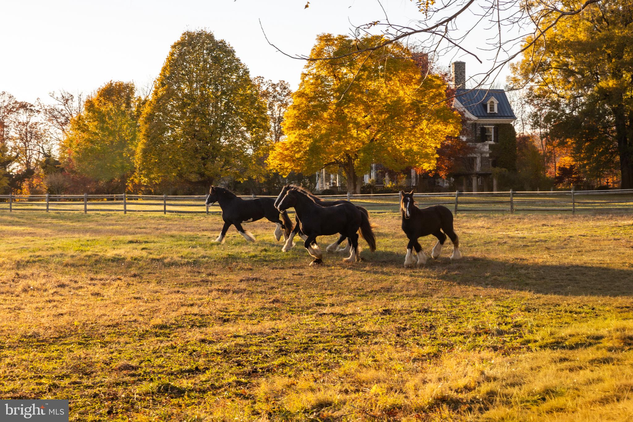 21846 Trappe Road Upperville, VA 20184 - Photo 43 of 50 a view of yard with ocean view