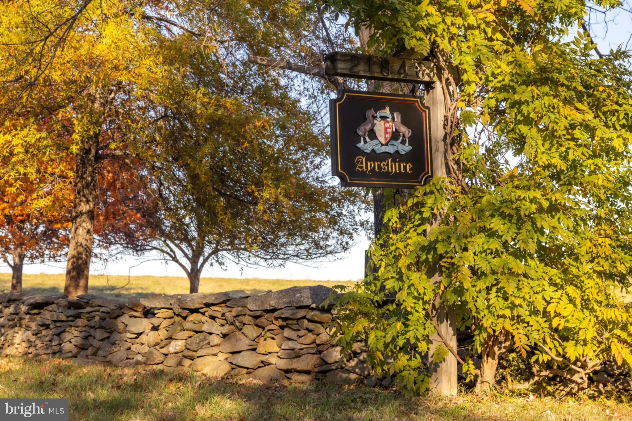 21846 Trappe Road Upperville, VA 20184 - Photo 5 of 50 a sign that is sitting in front of a tree