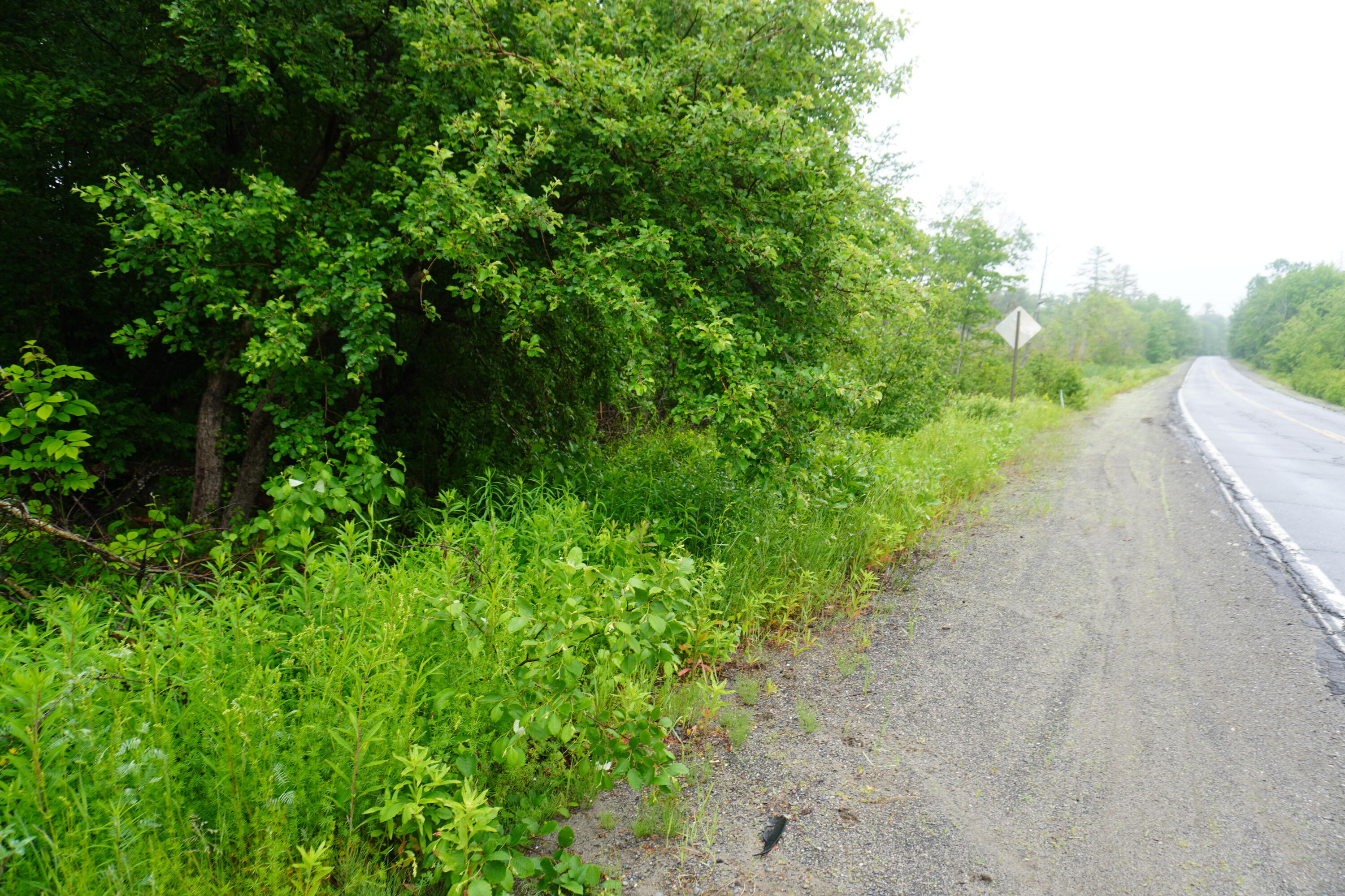 Lot 54.1 Lyford Road Milo, ME 04463 - Photo 1 of 5 Road