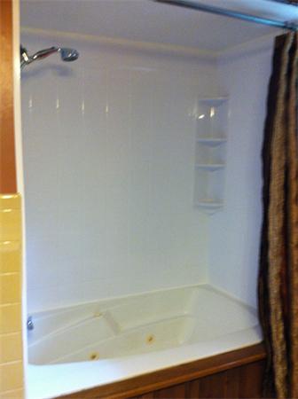 217 Morgan Road West Springfield, MA 01089 - Photo 16 of 25 a bathroom with a bathtub