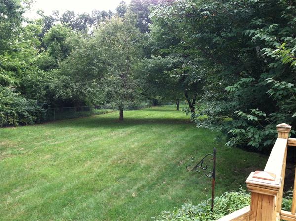 217 Morgan Road West Springfield, MA 01089 - Photo 25 of 25 a view of yard with green space