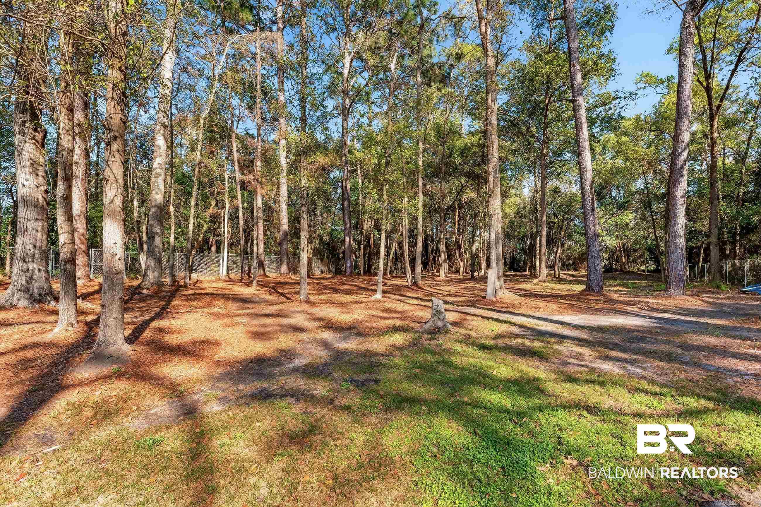 1271 Spring Valley Drive South Mobile, AL 36693 - Photo 53 of 56 View of yard