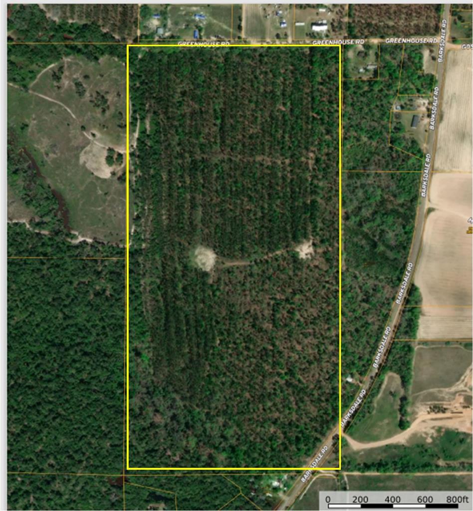 0 Greenhouse Road Gordon, AL 36343 - Photo 1 of 38