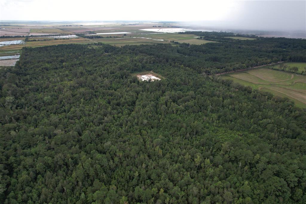 Tbd Leonard Road Elton, LA 70532 - Photo 2 of 8