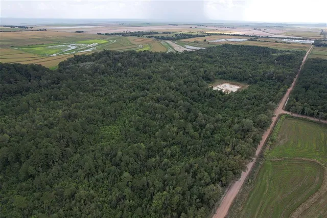 $200,000 | Tbd Leonard Road, Elton, LA 70532