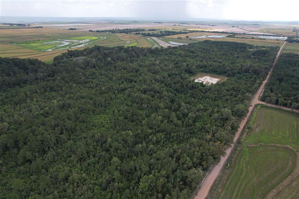 Tbd Leonard Road Elton, LA 70532 - Photo 3 of 8
