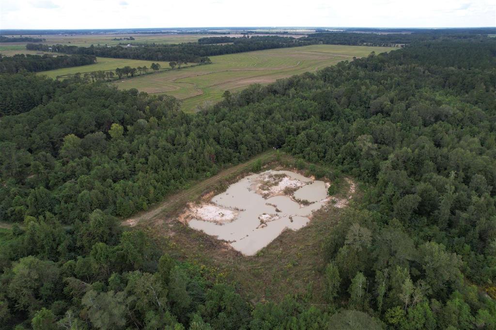 Tbd Leonard Road Elton, LA 70532 - Photo 4 of 8