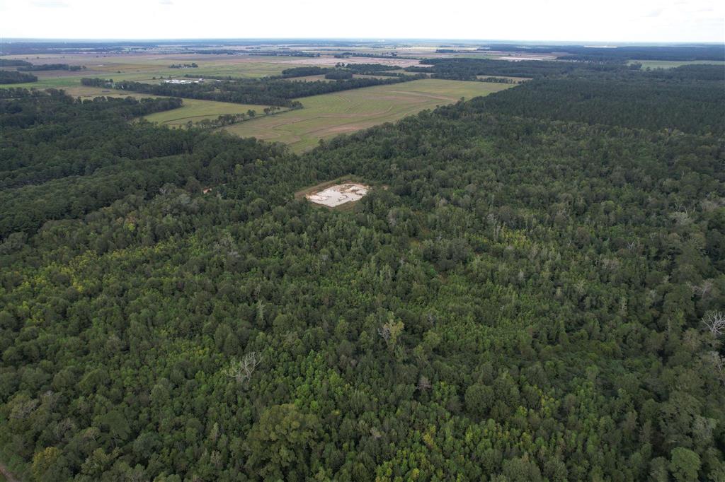 Tbd Leonard Road Elton, LA 70532 - Photo 5 of 8