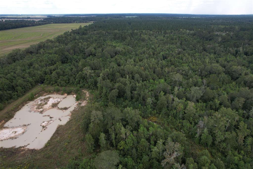 Tbd Leonard Road Elton, LA 70532 - Photo 6 of 8