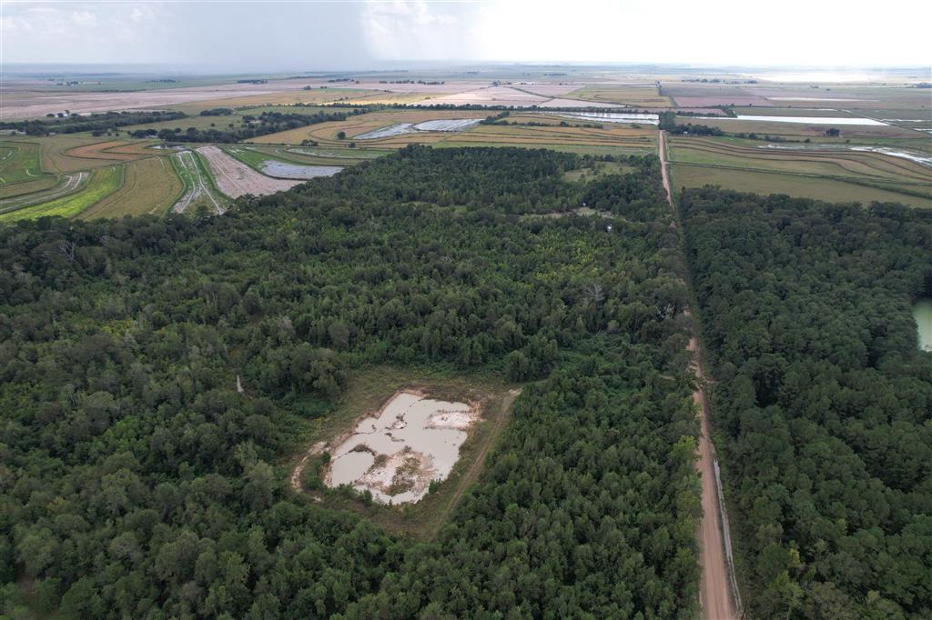 Tbd Leonard Road Elton, LA 70532 - Photo 7 of 8