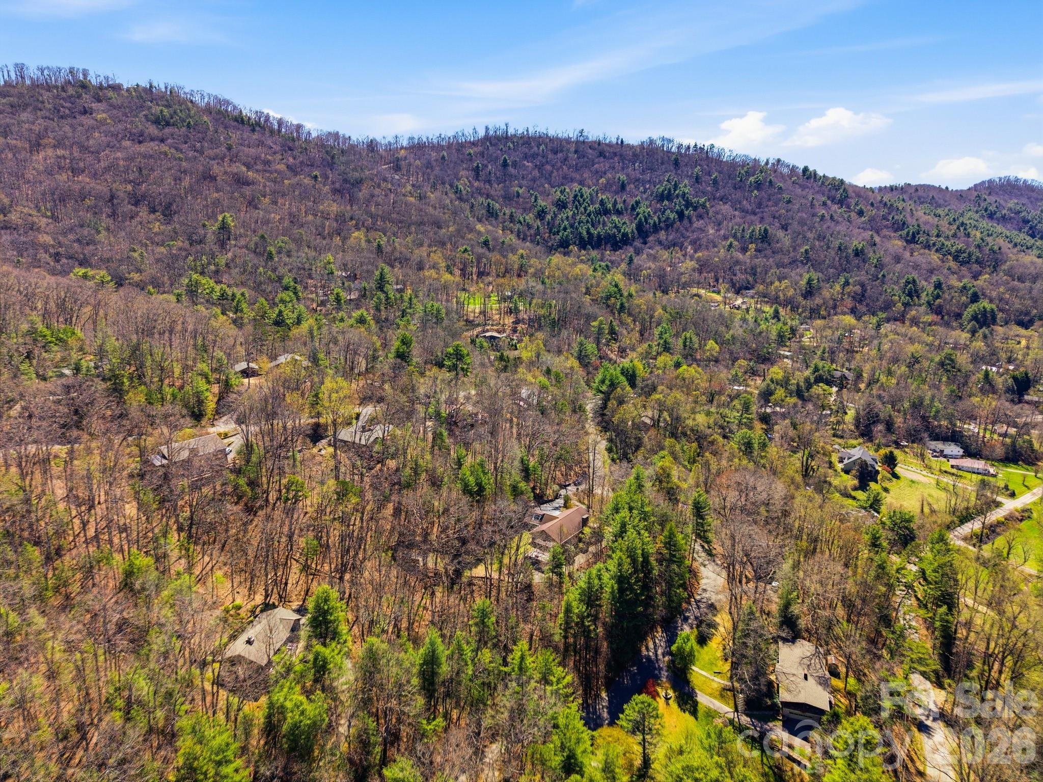 8 Covewood Road Asheville, NC 28805 - Photo 37 of 40