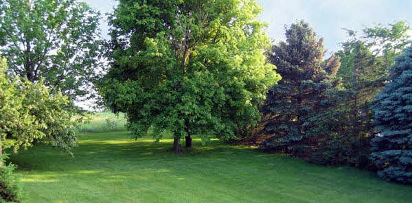 15480 Doty Road Pecatonica, IL 61063 - Photo 5 of 5 a view of a backyard with a garden