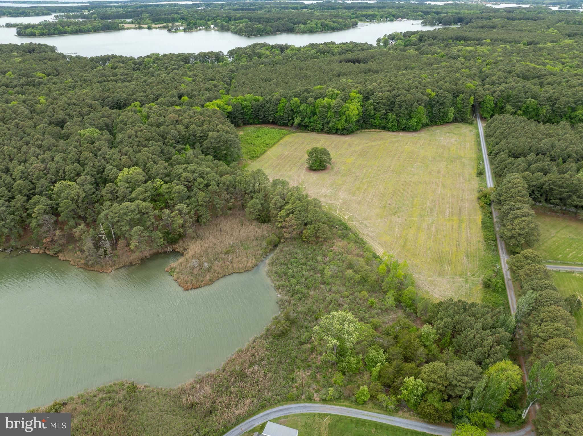 a view of a lake with a yard