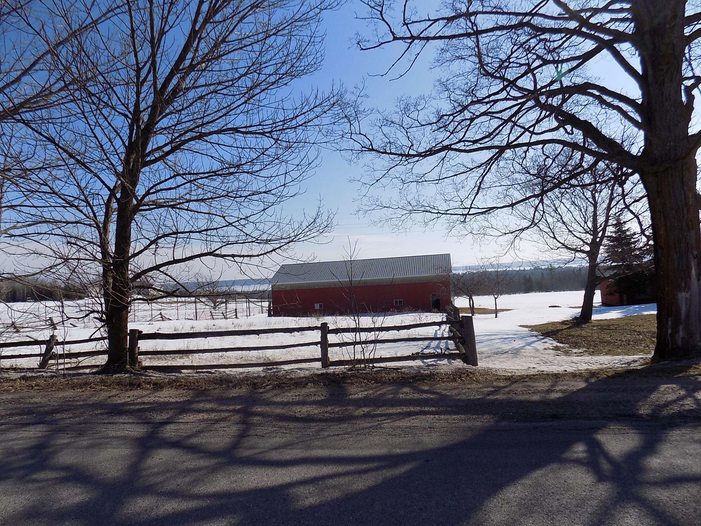 9575 Farrier Road Hillman, MI 49746 - Photo 26 of 29 Gallery Image 26