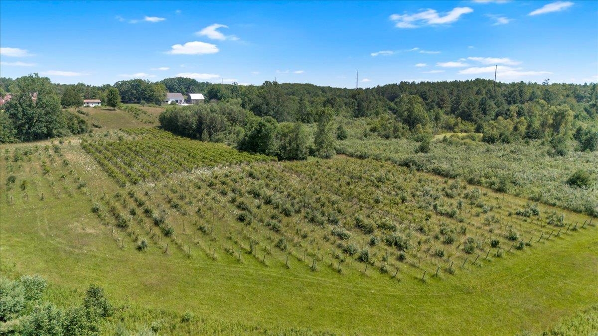6609 Slosser Road Hale, MI 48739 - Photo 15 of 44 1937185-49c123a0-4203-4880-9a96-98a63ed7de02.JPG