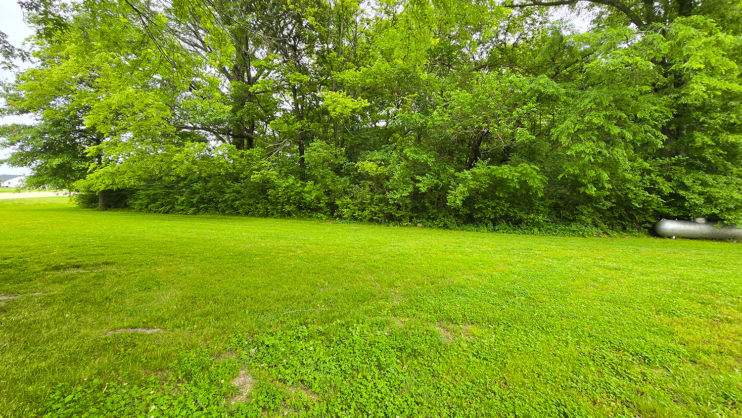 787 Walnut Hill Road Centralia, IL 62801 - Photo 11 of 42 a view of yard with green space