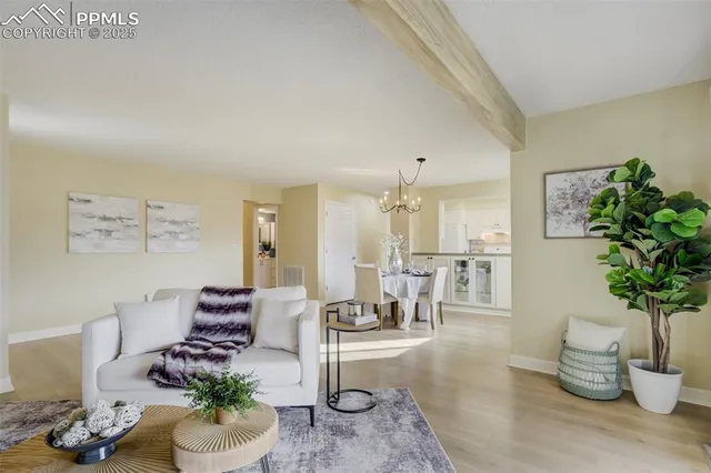 a living room with furniture potted plant and a window