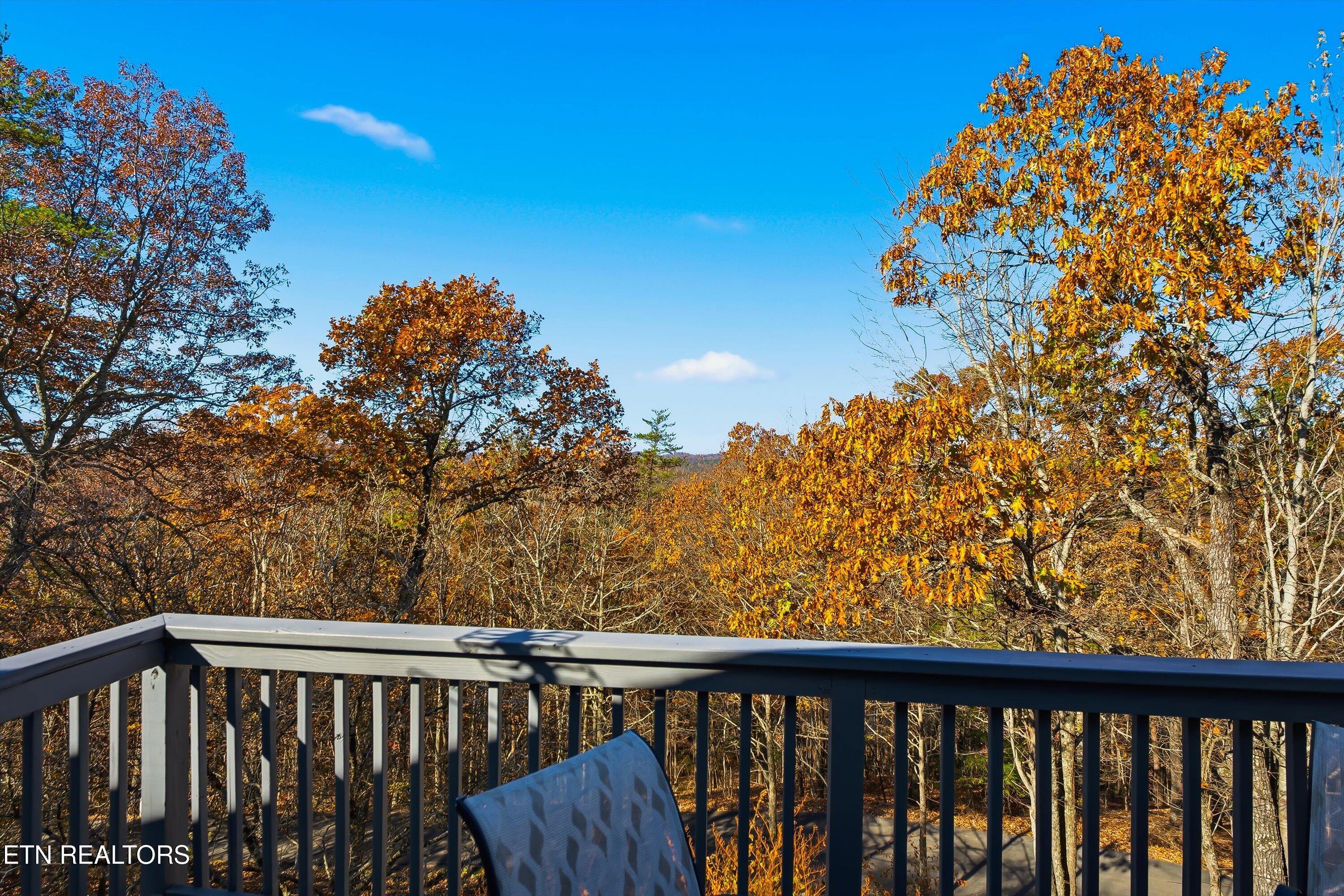 254 Laurel Mountain Road Madisonville, TN 37354 - Photo 38 of 58 28-254 Laurel Mountain Rd-27