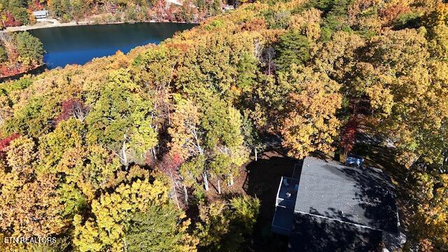 254 Laurel Mountain Road Madisonville, TN 37354 - Photo 54 of 58 dji_fly_20251104_110040_0131_17622752738