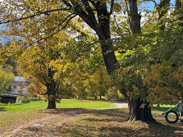 $580,000 | 88 Gillen Avenue, Johnson, VT 05656