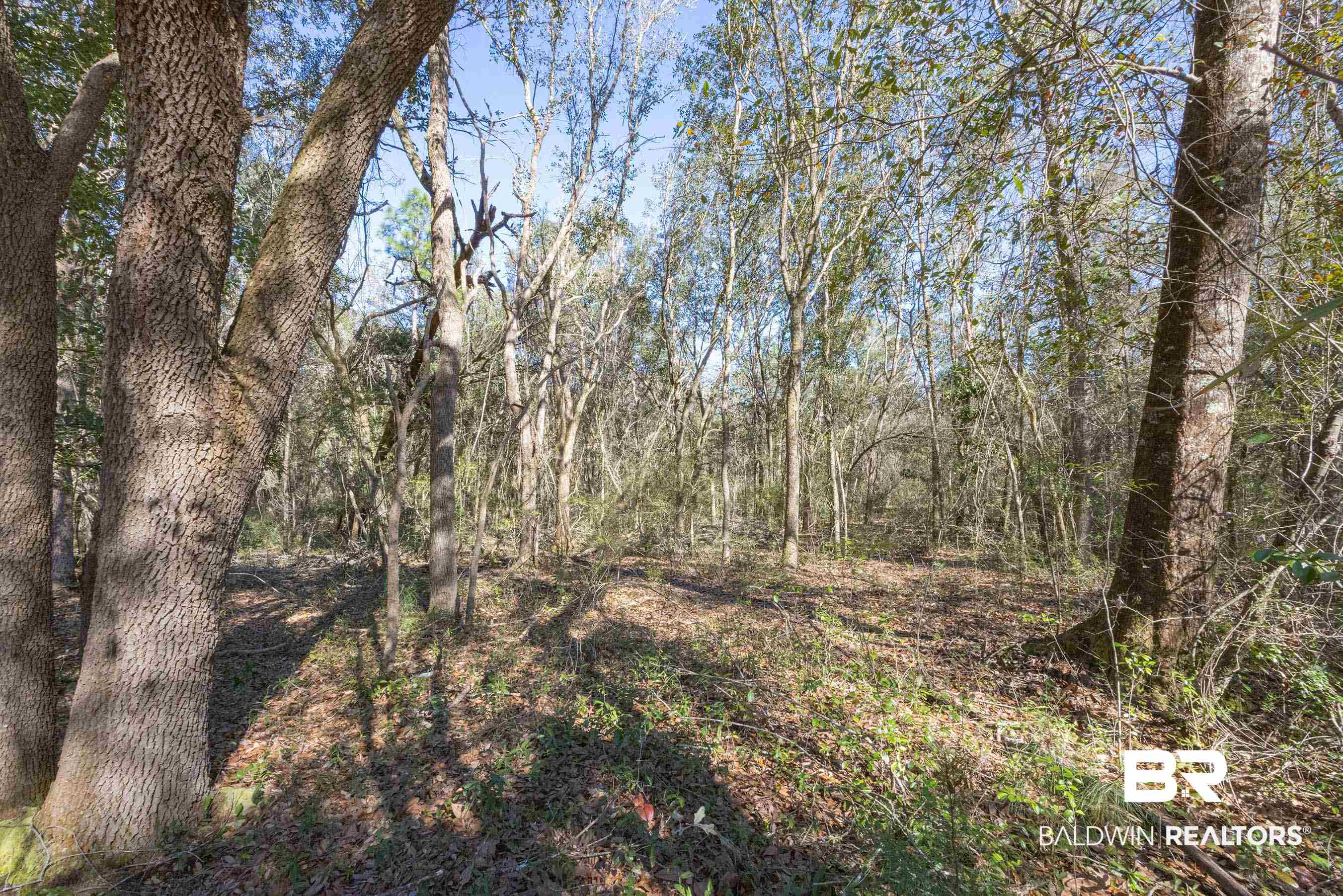 0 Downing Road Summerdale, AL 36580 - Photo 6 of 10 View of landscape with a view of trees