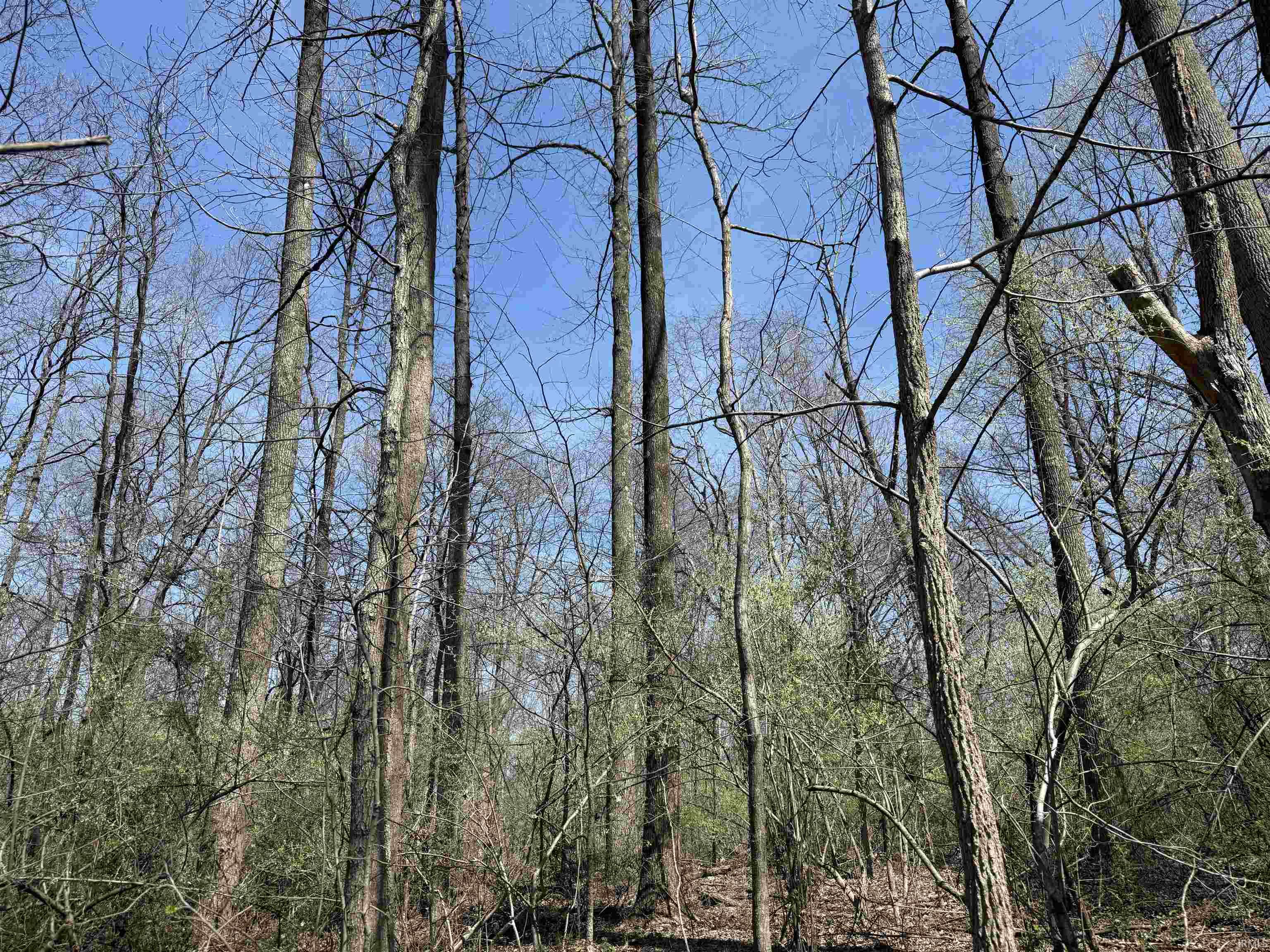 Tract 3-co Rd South Tract 3-co Road Stendal, IN 47585 - Photo 12 of 28