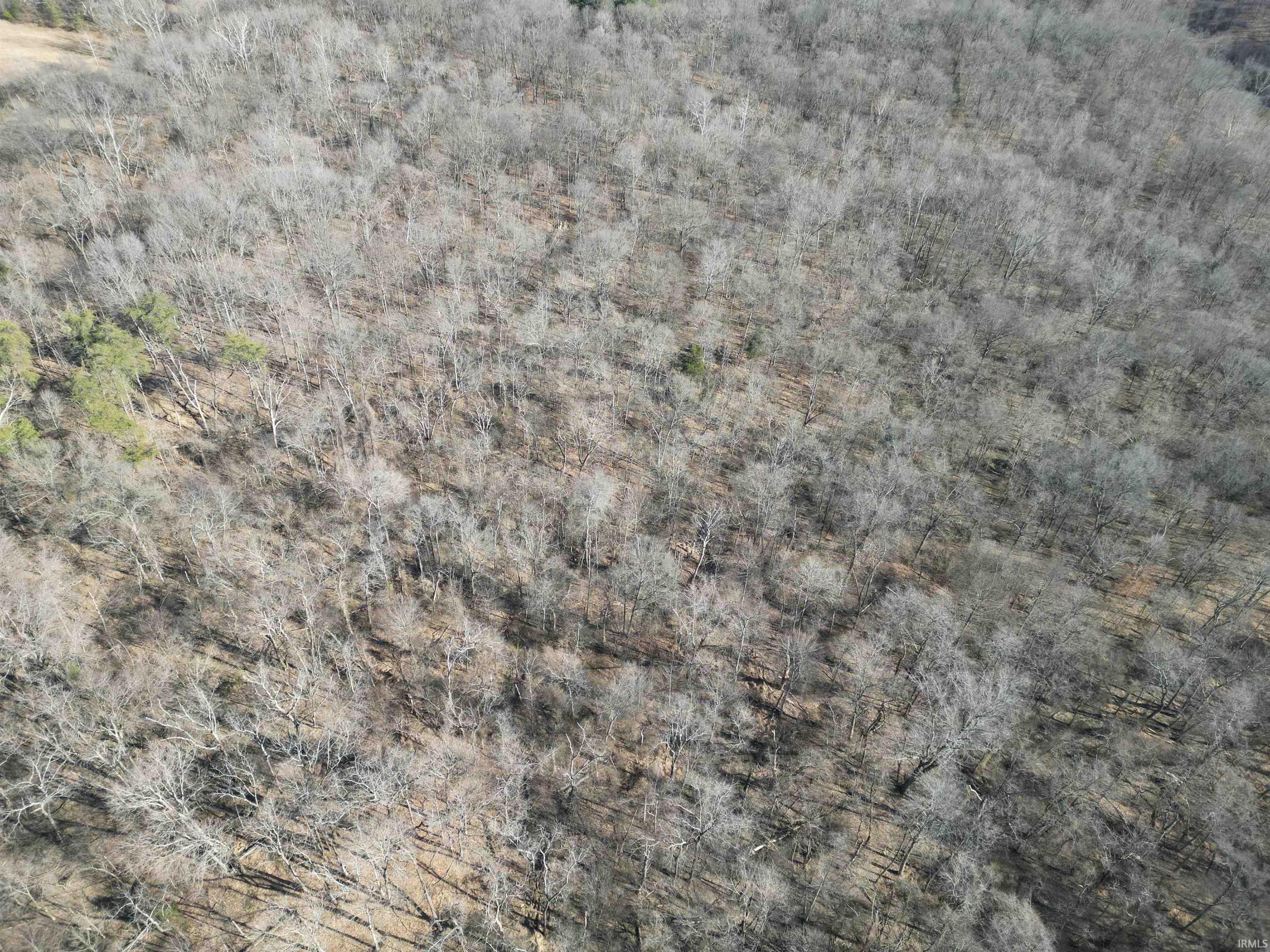 Tract 3-co Rd South Tract 3-co Road Stendal, IN 47585 - Photo 15 of 28