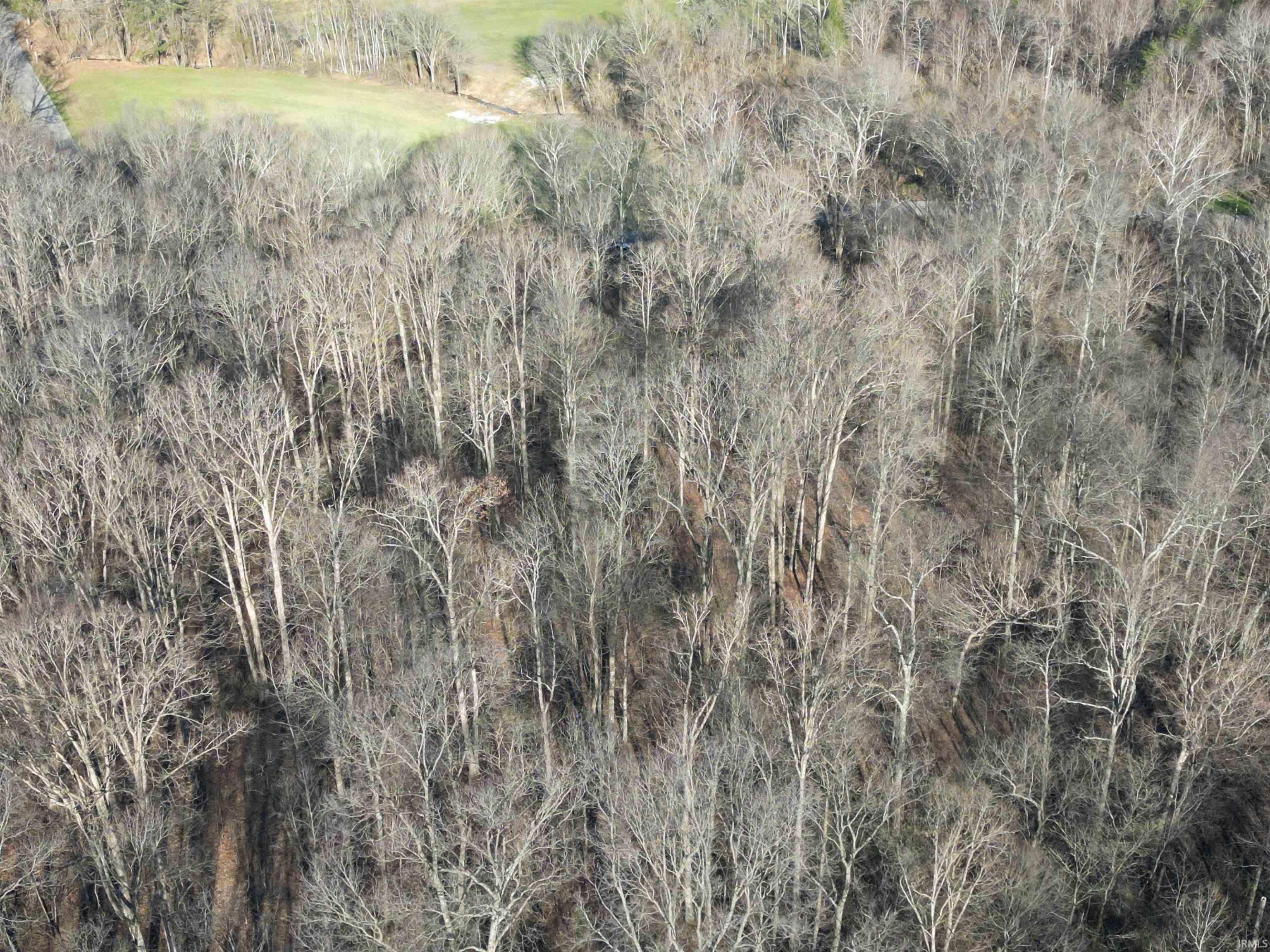 Tract 3-co Rd South Tract 3-co Road Stendal, IN 47585 - Photo 17 of 28