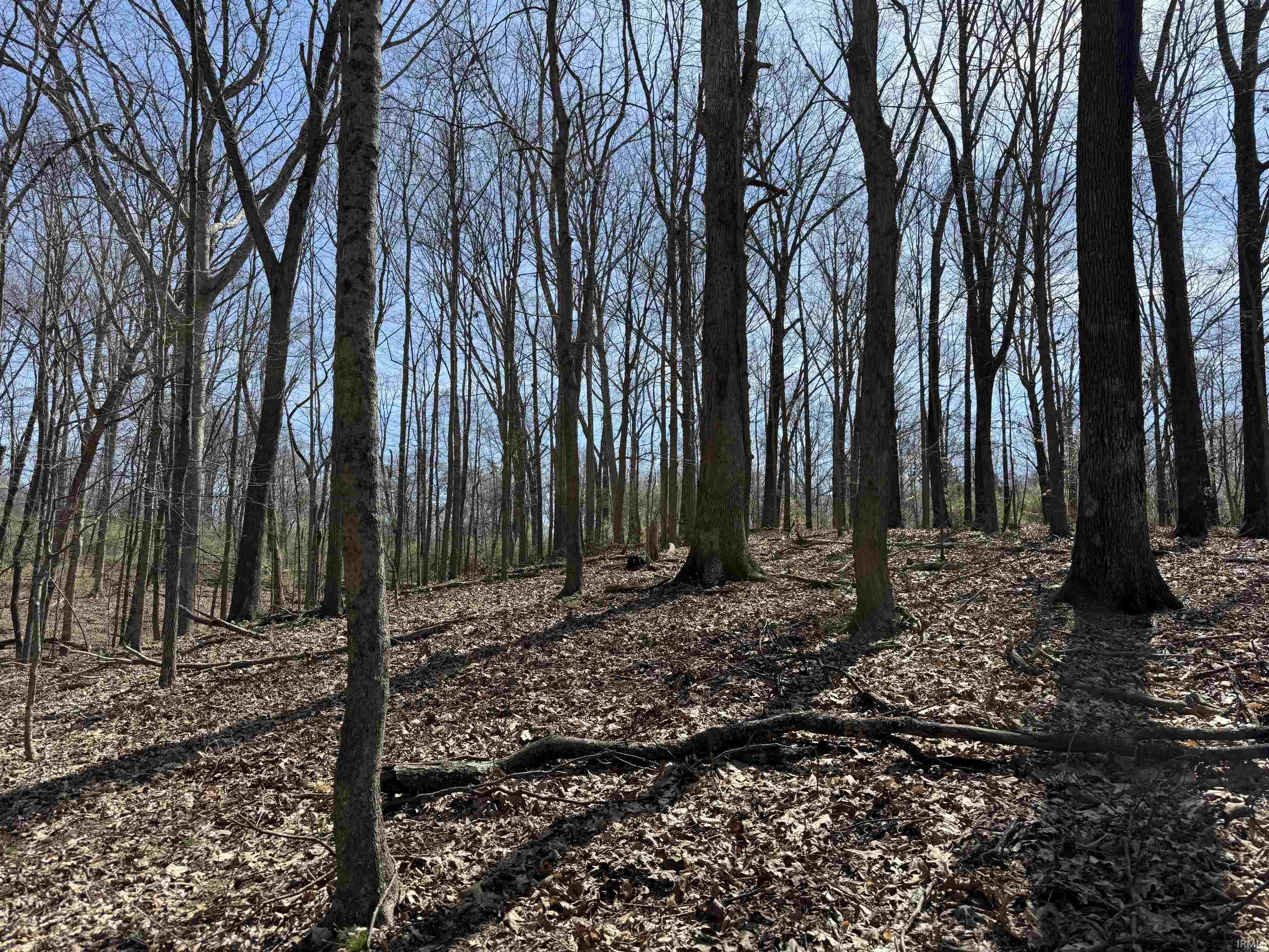 Tract 3-co Rd South Tract 3-co Road Stendal, IN 47585 - Photo 20 of 28