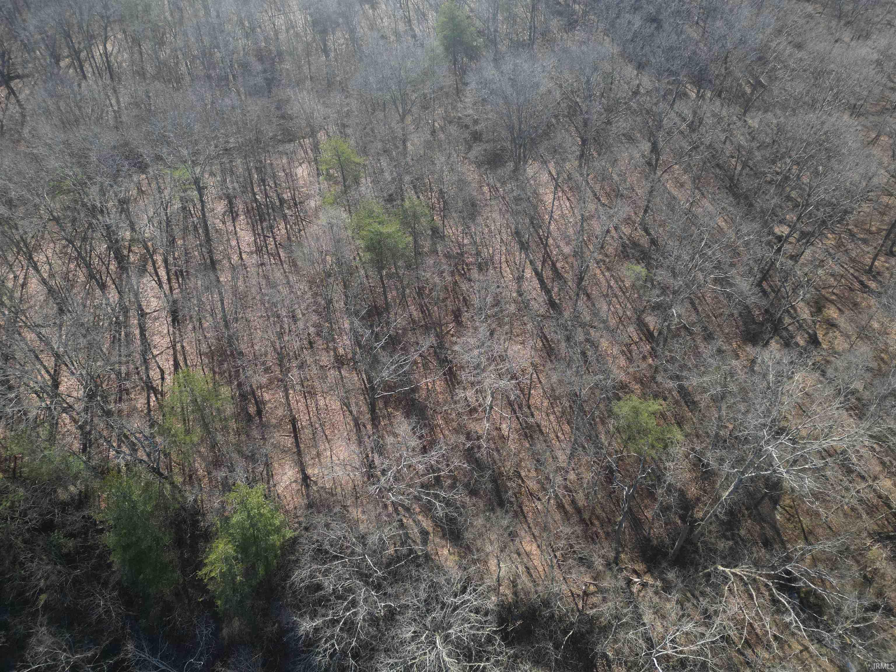 Tract 3-co Rd South Tract 3-co Road Stendal, IN 47585 - Photo 21 of 28