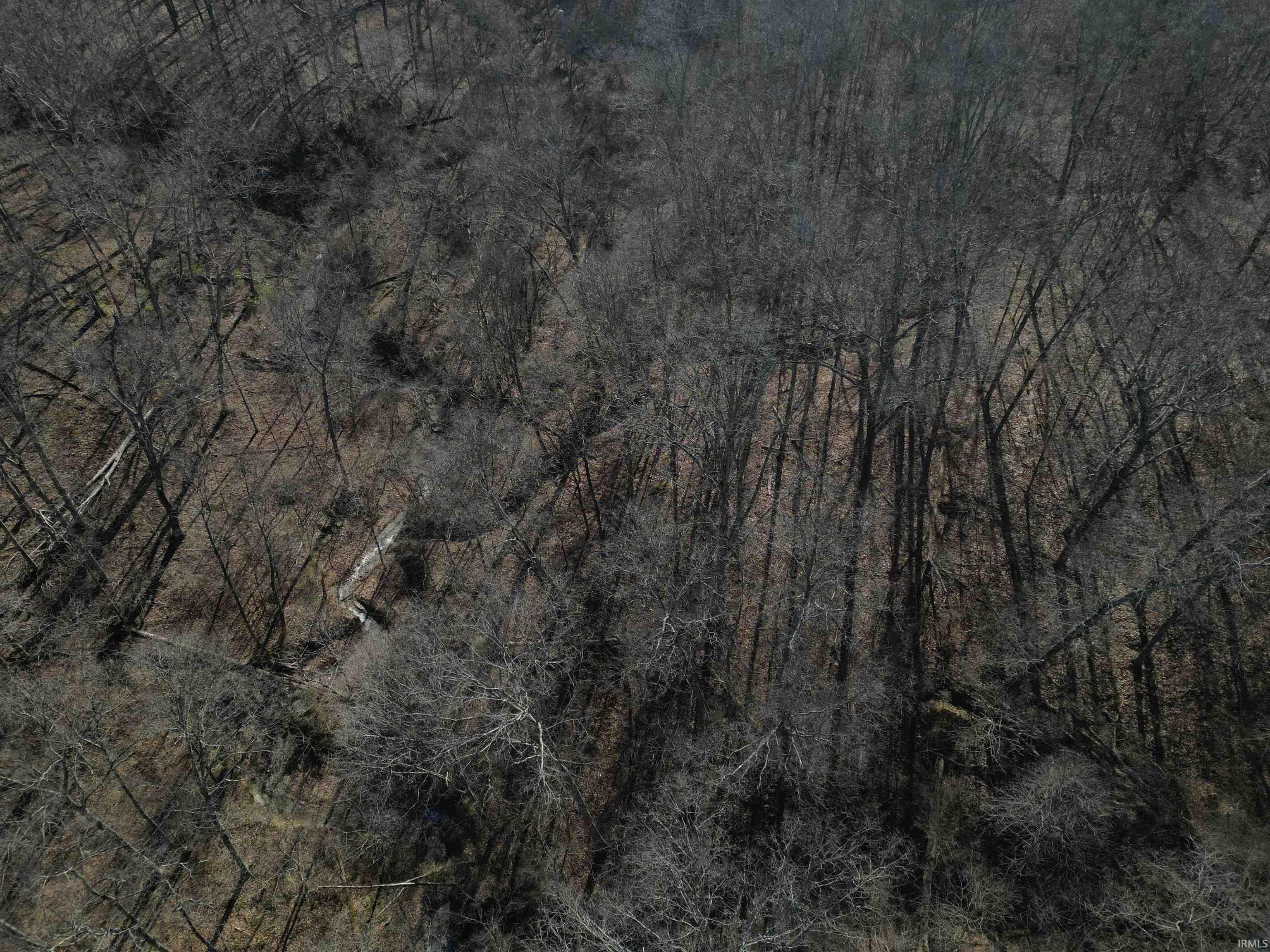 Tract 3-co Rd South Tract 3-co Road Stendal, IN 47585 - Photo 22 of 28