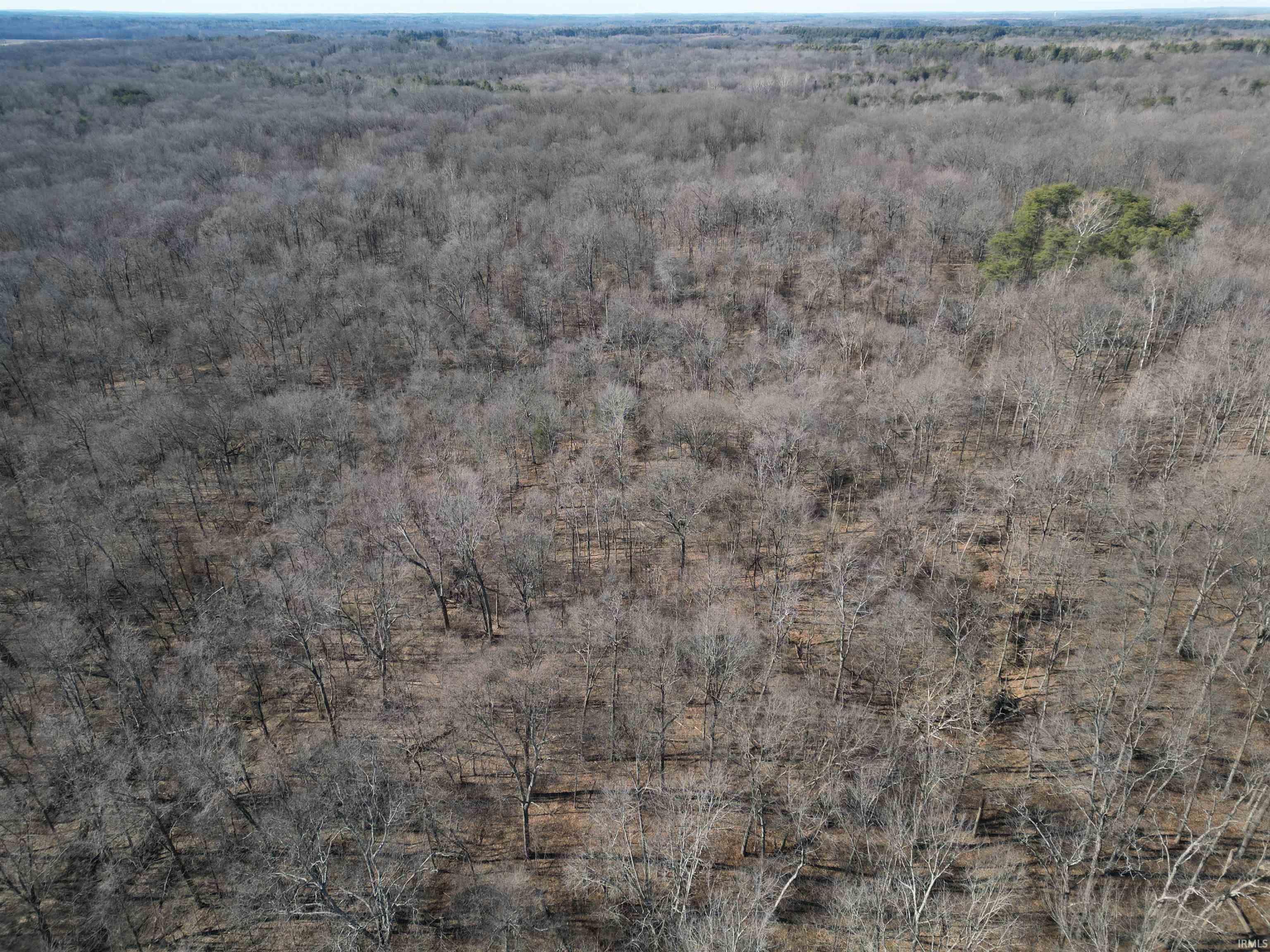 Tract 3-co Rd South Tract 3-co Road Stendal, IN 47585 - Photo 23 of 28