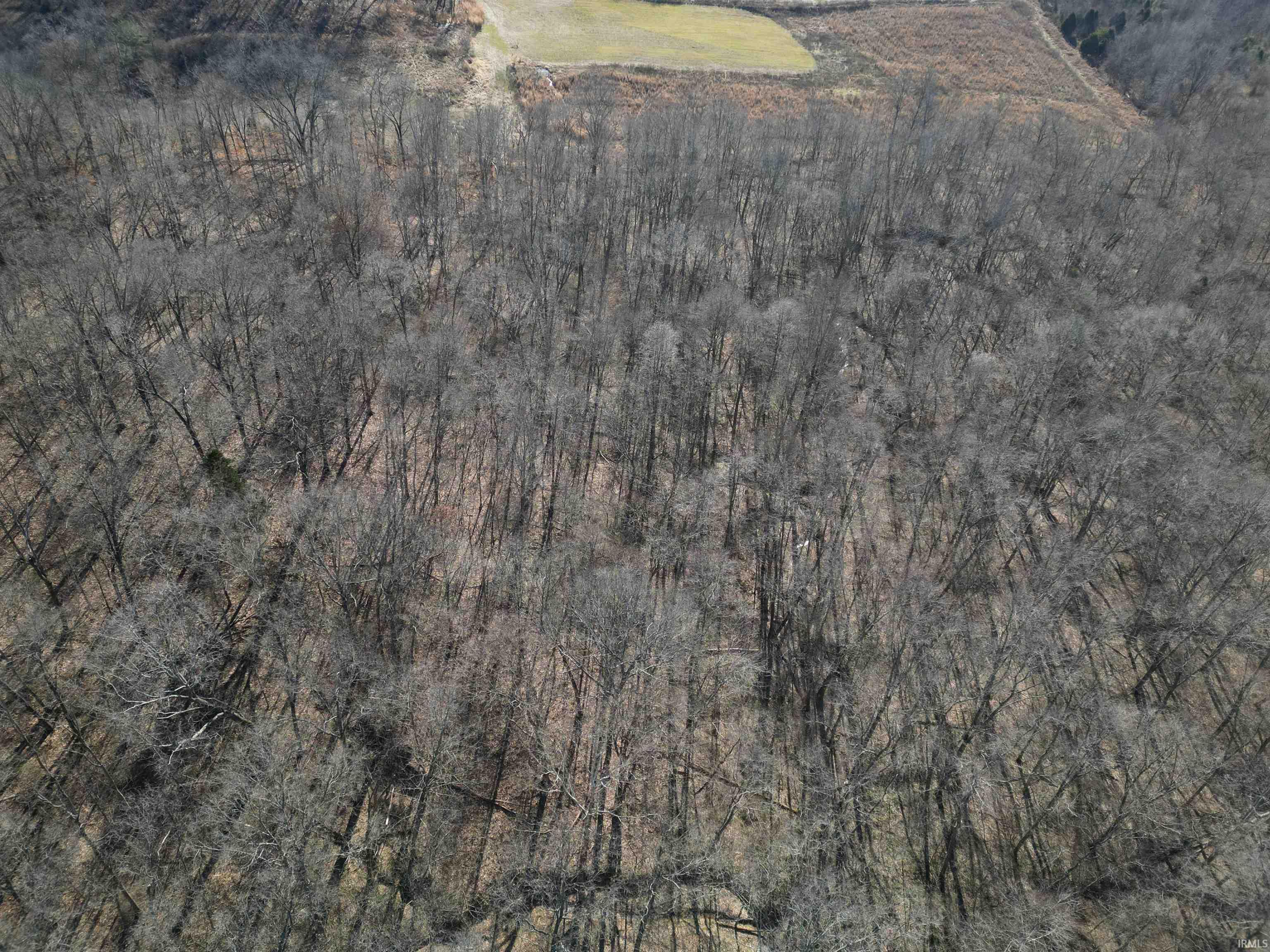 Tract 3-co Rd South Tract 3-co Road Stendal, IN 47585 - Photo 24 of 28