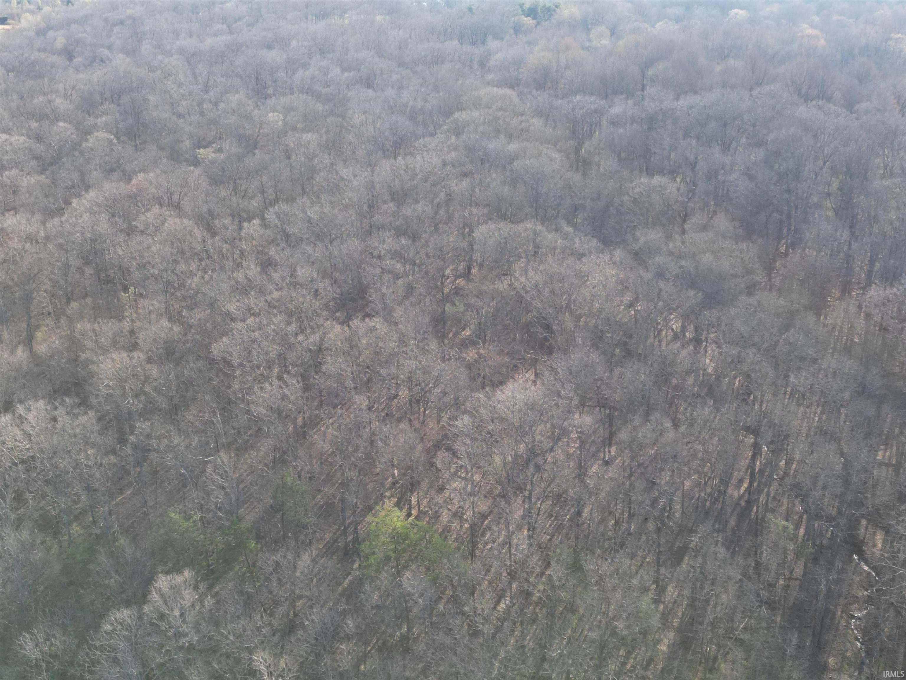 Tract 3-co Rd South Tract 3-co Road Stendal, IN 47585 - Photo 26 of 28