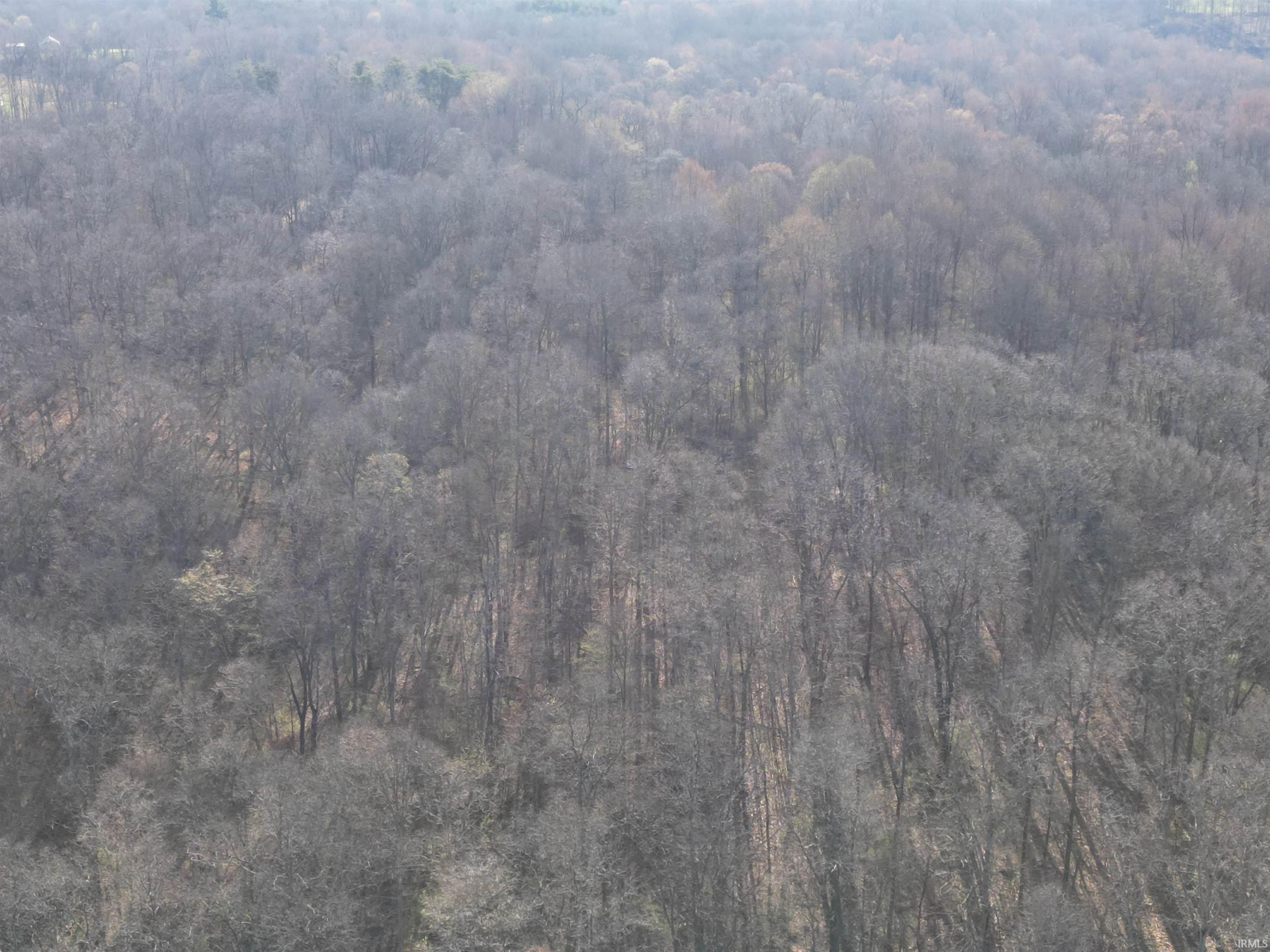 Tract 3-co Rd South Tract 3-co Road Stendal, IN 47585 - Photo 27 of 28