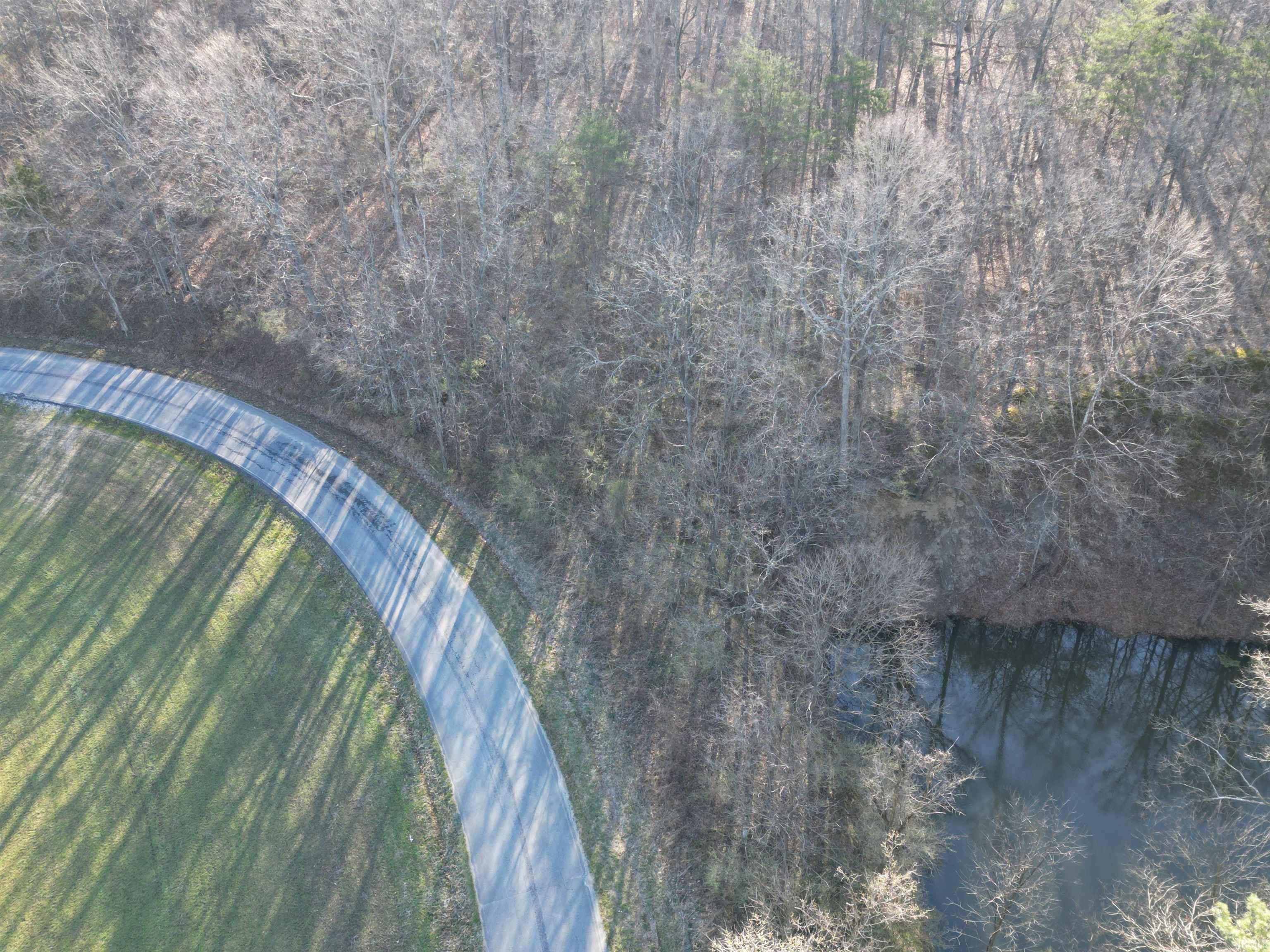 Tract 3-co Rd South Tract 3-co Road Stendal, IN 47585 - Photo 3 of 28