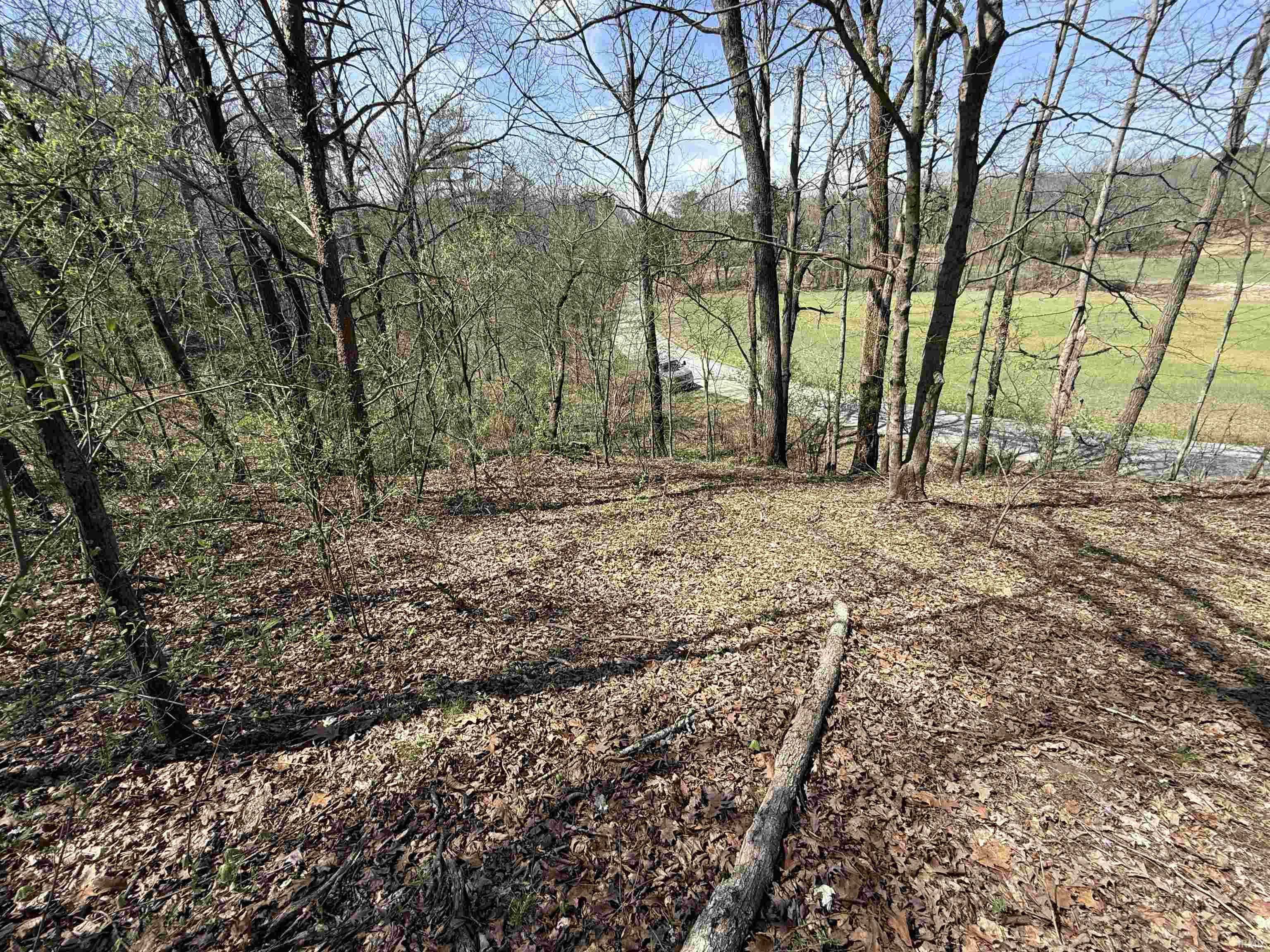 Tract 3-co Rd South Tract 3-co Road Stendal, IN 47585 - Photo 4 of 28